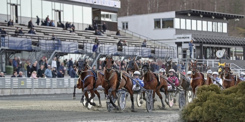 Legolas.bet ger pengar direkt till hästägare