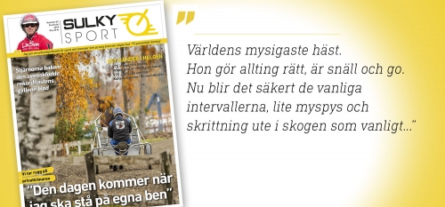 Sulkysport – en dag tidigare
