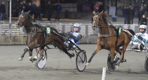 Activated rätt häst att vinna revanschen