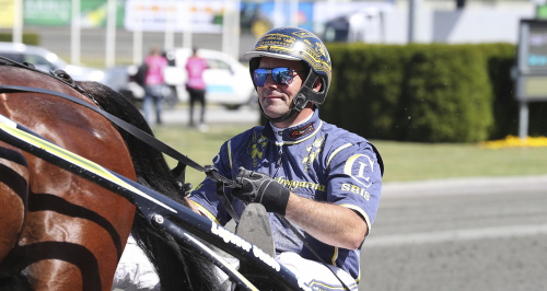 Svensktränade kvaltoppade