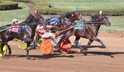 Devious Man bäst av listhingstar