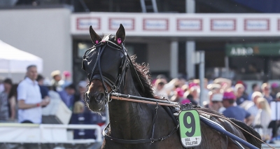 GS75-tips till Mantorp