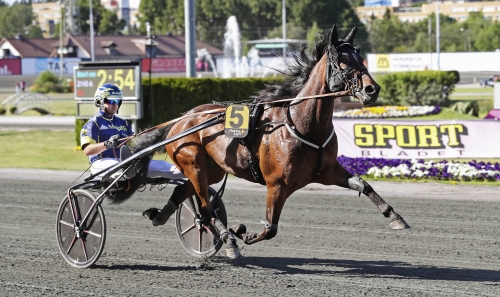 Momarkens V75-tävlingar stoppas – igen