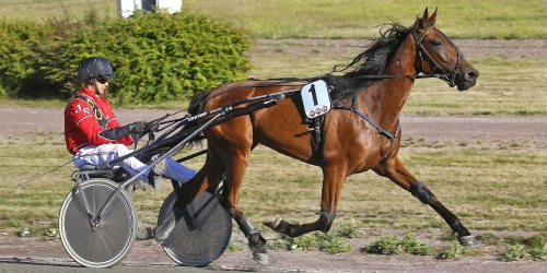 ”Hoppas på finalplats”