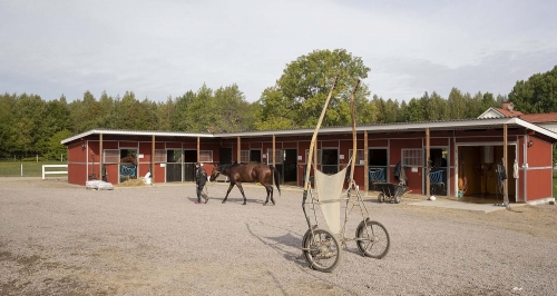 Törnqvist: ”Synd att hästskötare och deras kunskaper går till spillo”