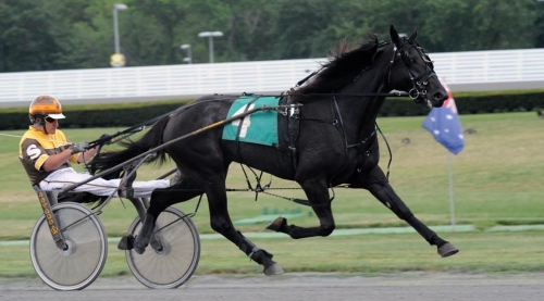 Dansk tjej dyrast i Harrisburg