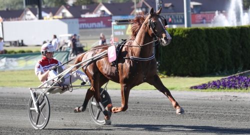 Lionel får ett lopp till i kroppen inför Prix d’Amérique
