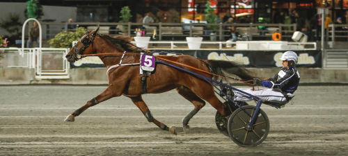 Tidiga tankar V75: Risk för favoritkavalkad