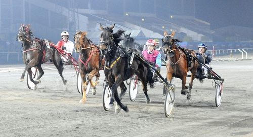 ”Ingen sätter upp en gammal gubbe längre”