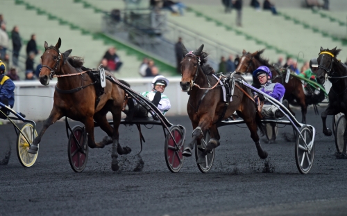 Allaires sto(r)succé