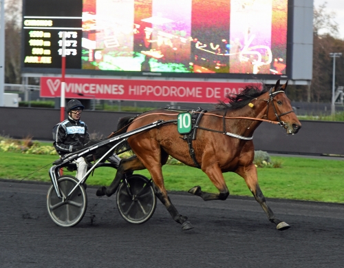 Mindyourvalue W.F. fortsatt obesegrad