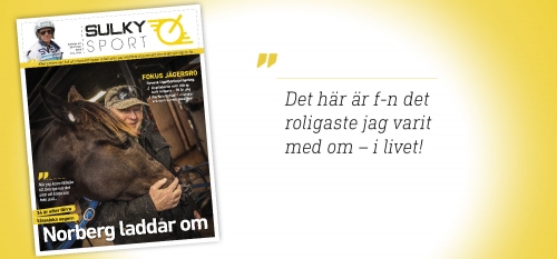 Uppfödningsloppet & unghästars utveckling