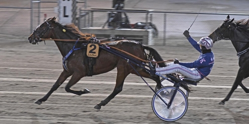 Bäst igår! – Wild Love segerrikast i väst