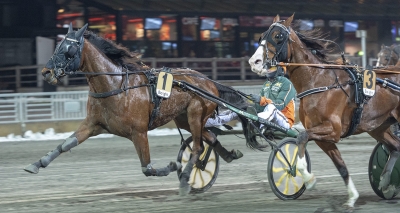 Fortsatt stallform hos Lindgren