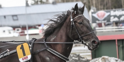 Dryga böter efter travbesök