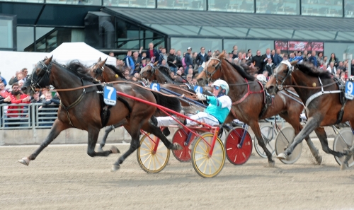 King City till avel i Norge