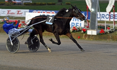 Sto(r)seger för Signori Goop