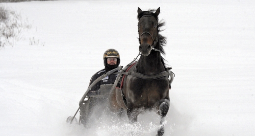 ”Jag är inte trött på travet, men…”