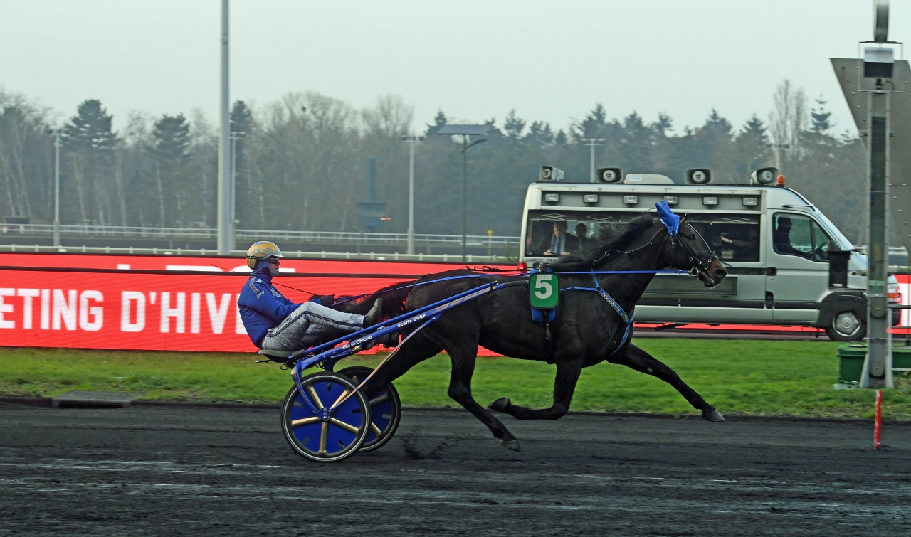 Bryssel och Björn Goop var ensamma på målfotot i Prix de Sainte-Marie-du-Mont på Vincennes idag. Foto: Gerard Forni