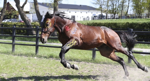 Ge allmänheten tillträde till Propulsion-målet!
