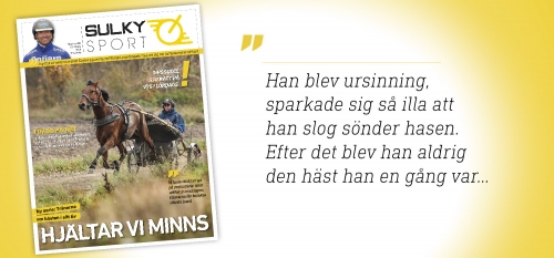 Ny serie – Hästen i mitt liv