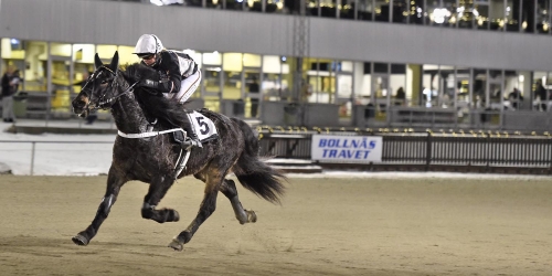 Bäst igår! – Svenskt rekord i Bollnäs