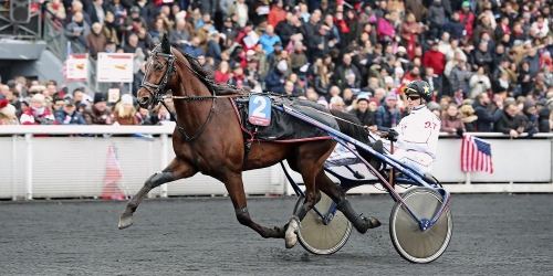 PDA-femma i montédebut