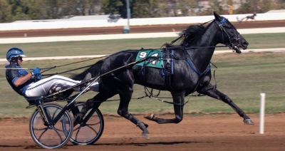 Crazed stallas upp i Sverige?