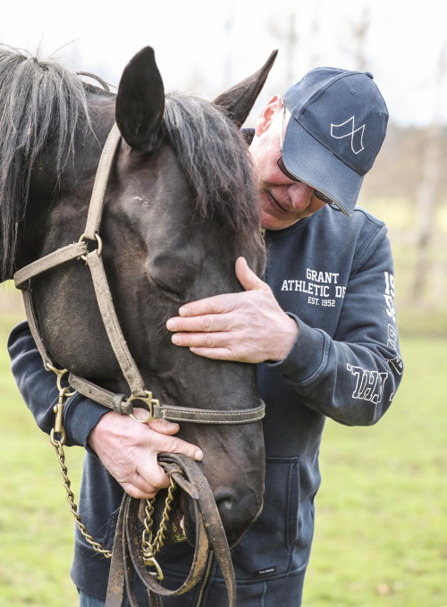 ”Stallets första Elitloppshäst”