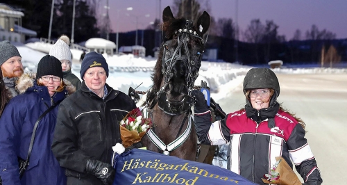 ”Köpa en häst innan jag blev för gammal”