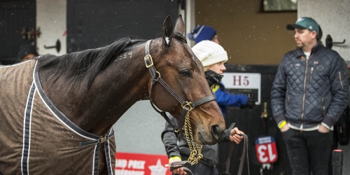 ”Blev som ett jobb hemma”