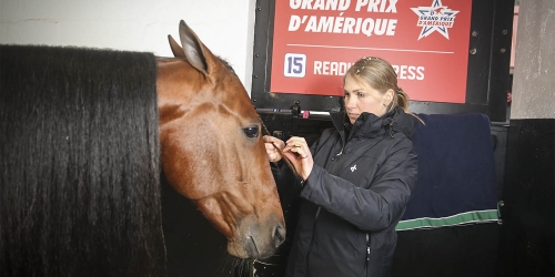 Readly Express dubblade