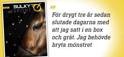 Årsrevyn 2019