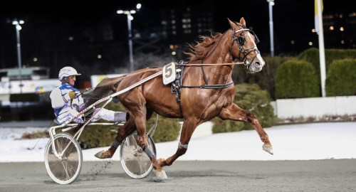 12-16 jan: Startlistor från lördag till V86 på onsdag!