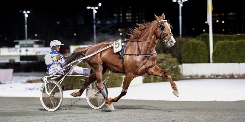 Turno di Azzurra såld