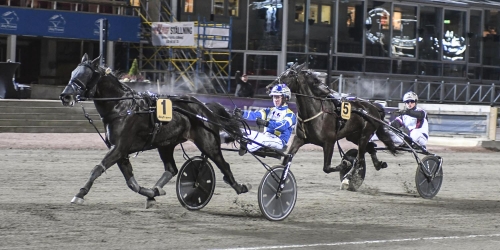 Bäst igår: Ung – men inte yngst