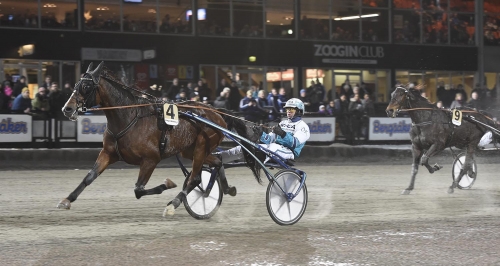 ”En jättebra häst”