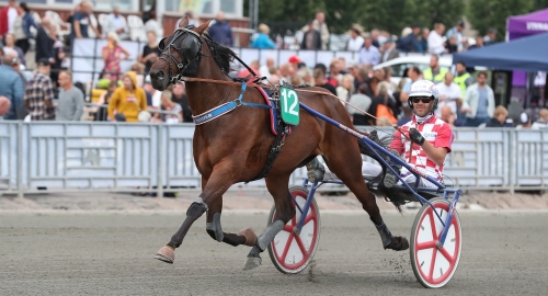 16-20 feb: Från V75 på Axevalla till V86 på Jägersro och Solvalla