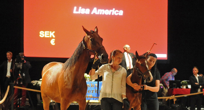 Lisa America till SRF Stable