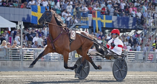 V75-tips: Analyser och intervjuer