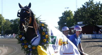 E3-vinnare till avel