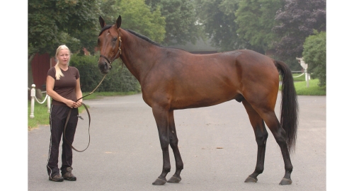 Cantab Hall på ”öppna marknaden”