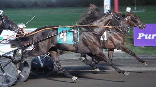1.09-travare till Riordan