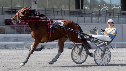 Explosive Matter finaldubblade