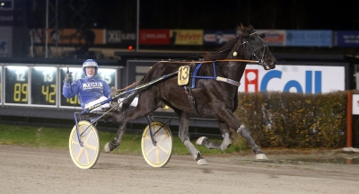 Synad – vann ändå V75-dubbel