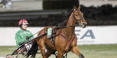 V86: Vinner den här vinner inte jag