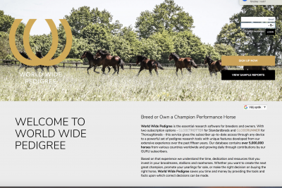 ”Så less på ST att jag vill lägga av med allt”