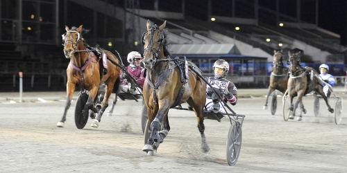 Wingait C.H under 1.10