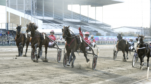 Day Or Night In till Olympiatravet