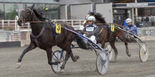 Toppfyraåringar i jobb